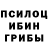 Галлюциногенные грибы Psilocybine cubensis Mill Raubich