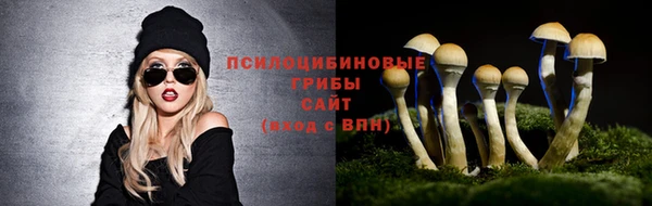 гашиш Аркадак