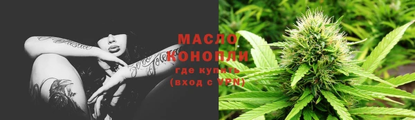 индика Армянск