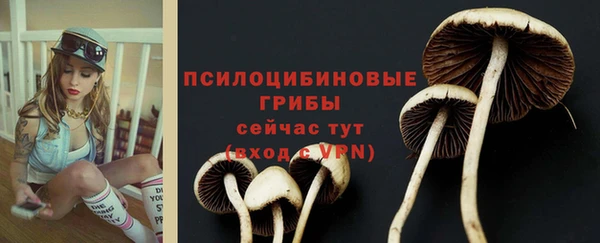 индика Армянск
