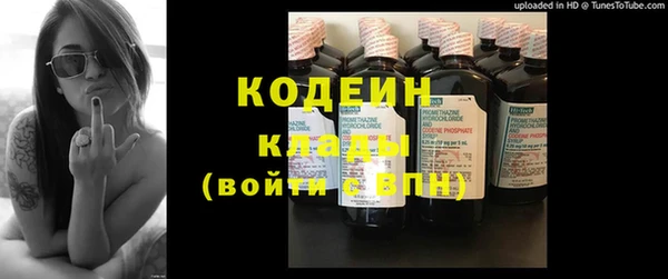 ПСИЛОЦИБИНОВЫЕ ГРИБЫ Арсеньев