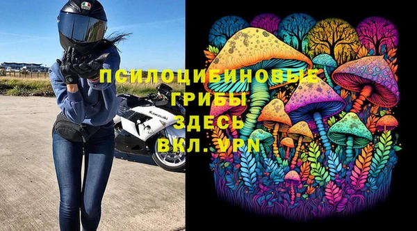 индика Армянск