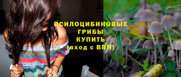 ПСИЛОЦИБИНОВЫЕ ГРИБЫ Арсеньев