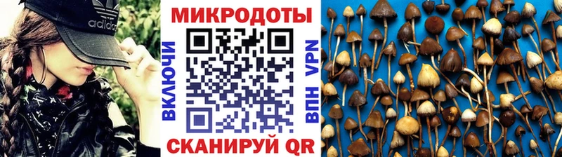 даркнет как зайти  Родники  Галлюциногенные грибы GOLDEN TEACHER  цены   ссылка на мегу рабочий сайт 